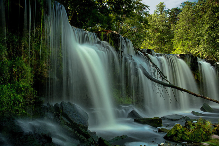 Waterfall in the forest | waterfall, forest, wood, summer