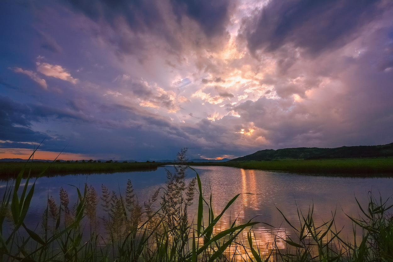 River, landscape | landscape, river, summer, reed, sky, sunshine, clouds, ripples, grass, skyline