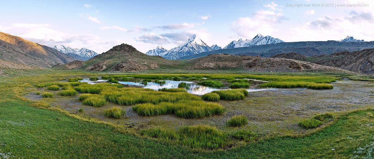 Scandinavian meadow | snowy peaks, meadow, bog, grass