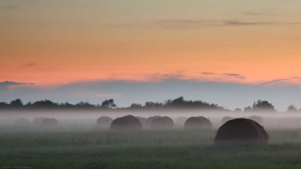 Before the autumn | summer, autumn, hay, field