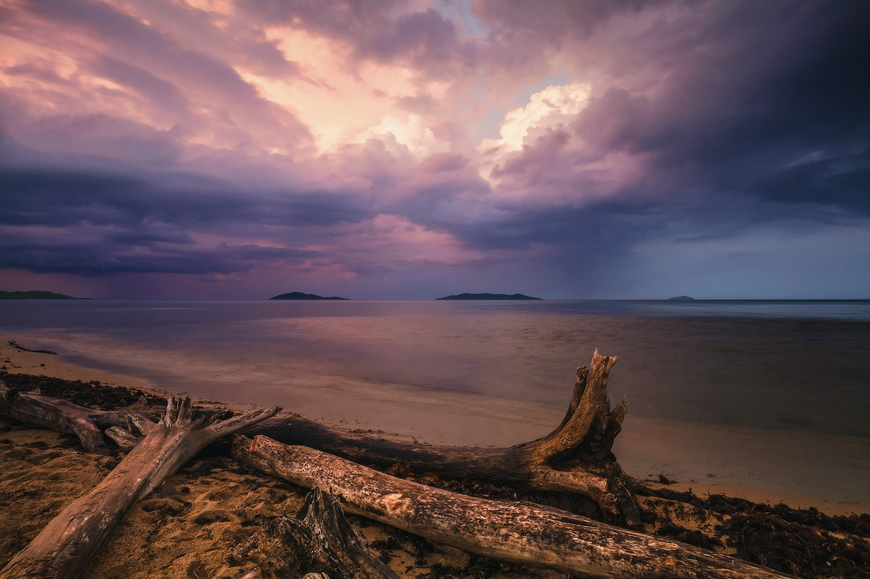 Dull sky and fallen tree | dull sky, fallen tree, skyline, dusk