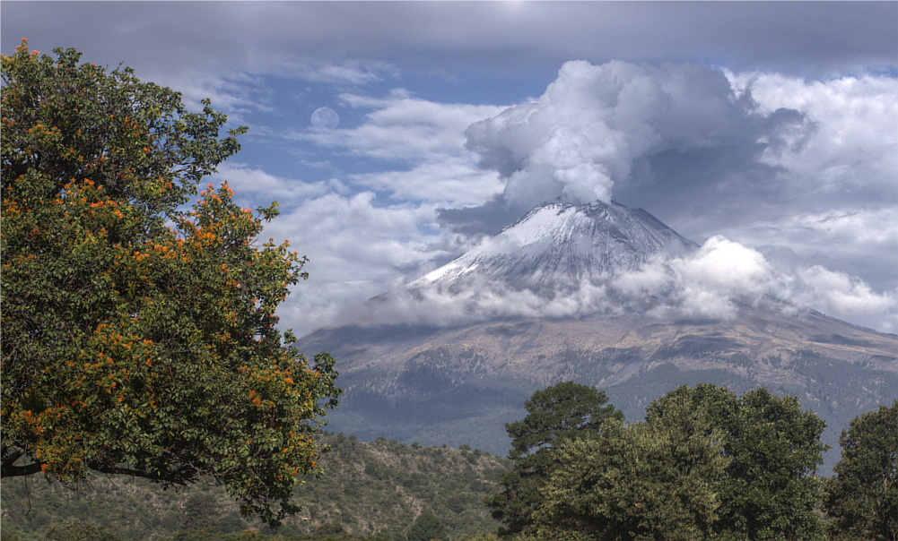 Active volcano | active volcano, hill, tree, wood