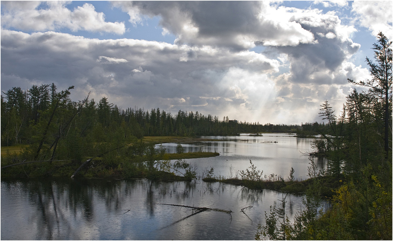 Lake Taimyr | landscape, outdoor, nature, lake, forest, clouds, sky, Taimyr, water, green grass