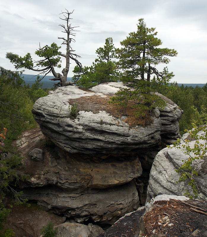 Rocky island | rock, spruce, sky, evening