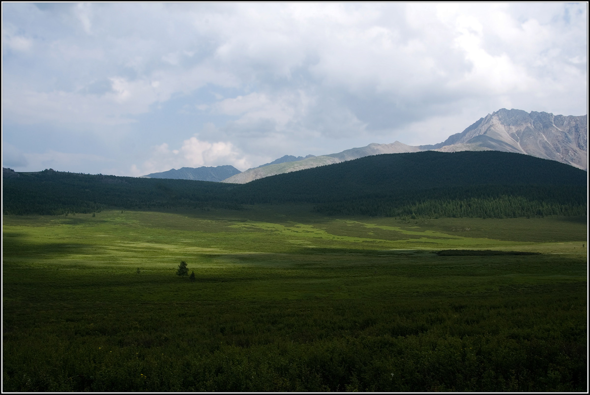 In the vast expanses of Altai | landscape, nature, hills, mountain, grass, shadow, sky, clouds, Altai, tree