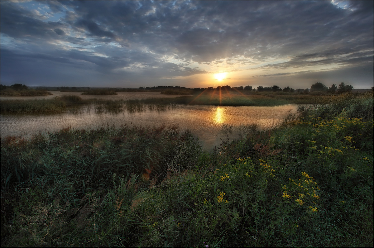 Gusty morning, dawn |  morning, landscape, dawn, sun, lake, grass, cane, clouds, skyline, gusty