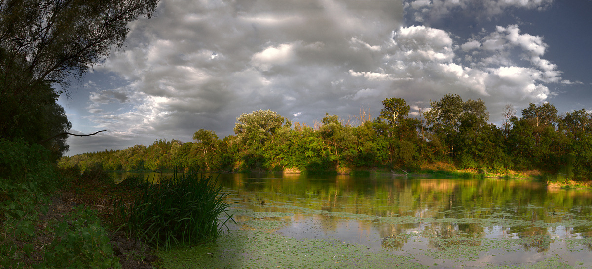 Summer day on the river | landscape, nature, sky, clouds, summer, green grass, trees, water, duckweed, sunshine