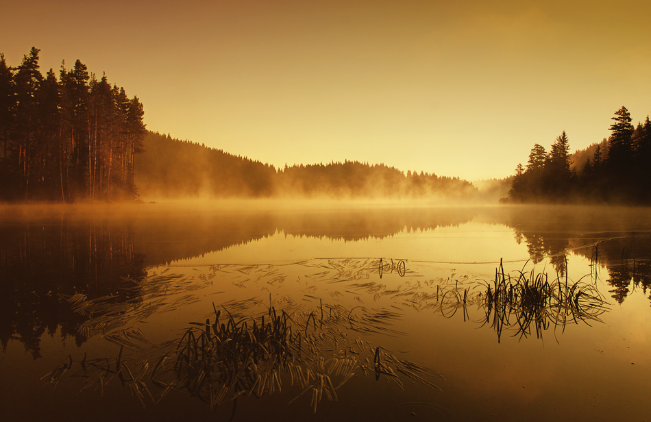 And the sun rises... | dawn, sunrise, pond, water