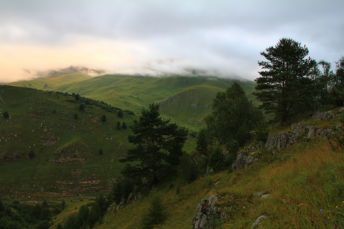 Through the hills... | hill, meadow, fog, tree