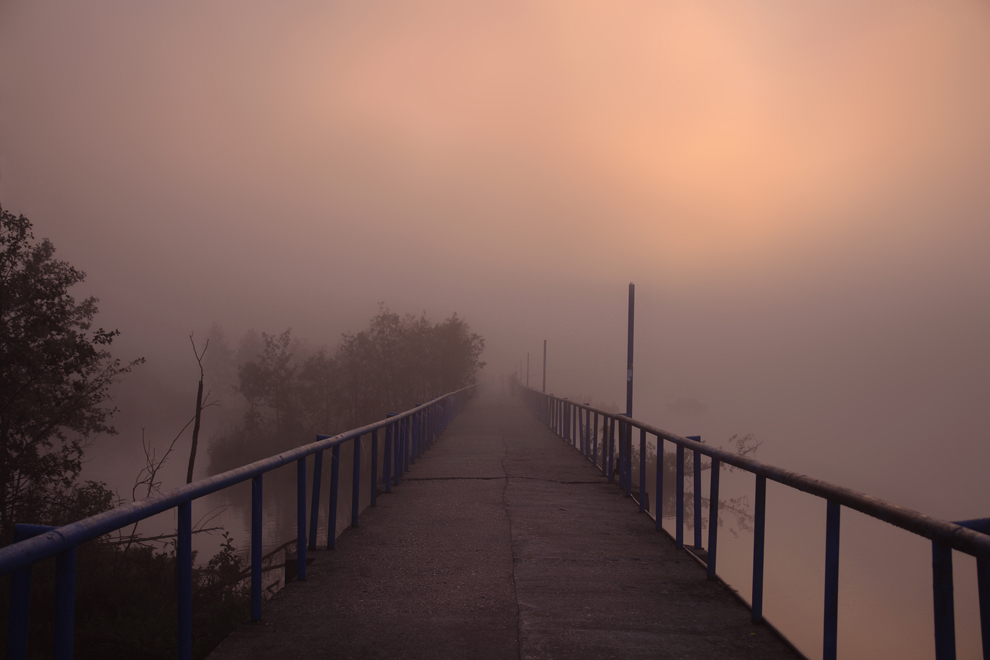 through the fog | fog, sunrise