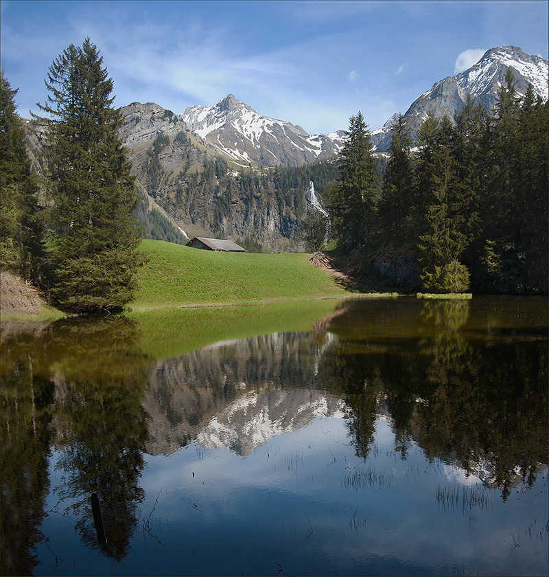 Reflection in the lake | snowy peaks, lake, spruce, mountain