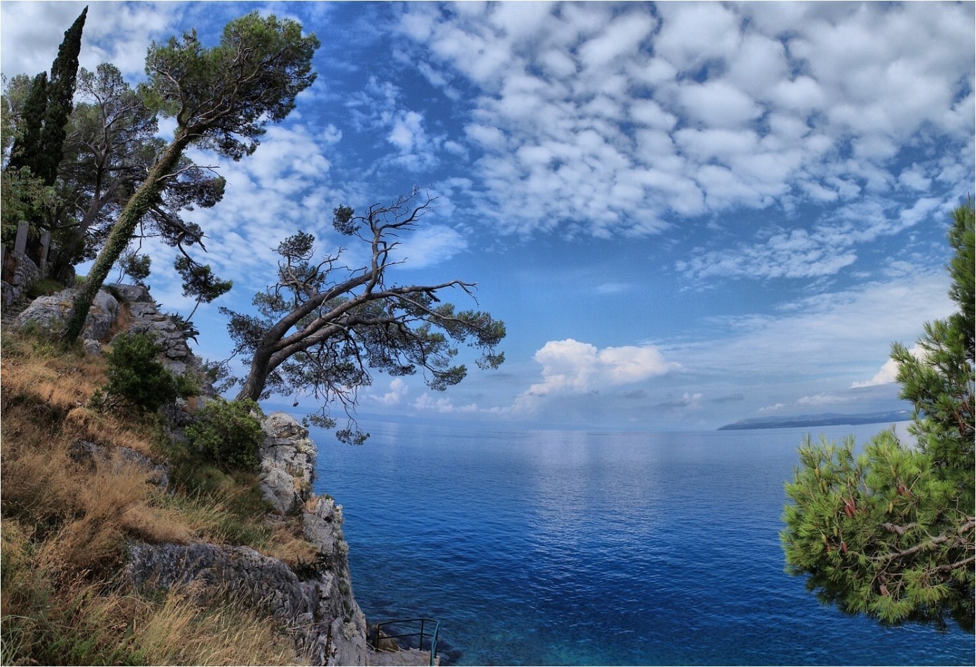 Sea and overcast | sea, overcast, cliff, spruce