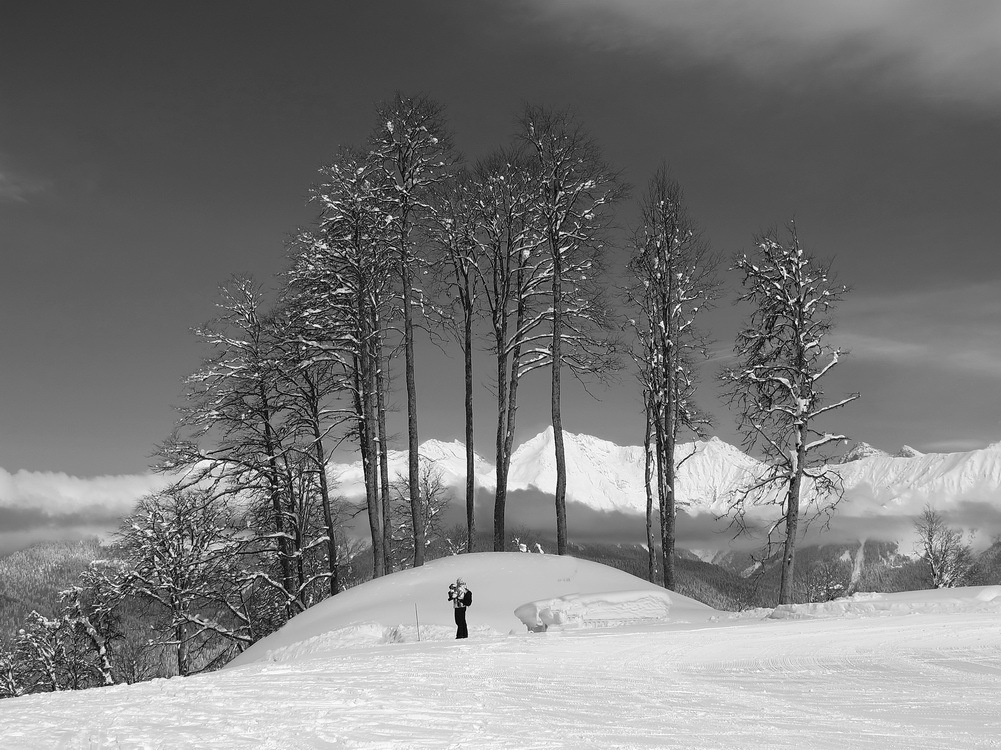 Skier on the crossroad | skier, crossroad, winter, black and white