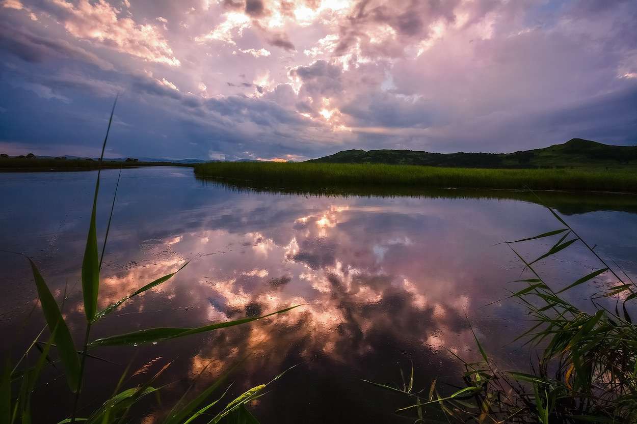 Flames in the sky | dusk, lake, meadow, ling