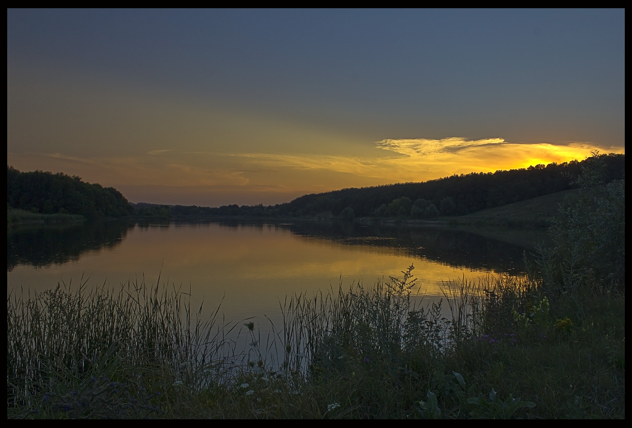 Hidden fisherman | pond, dusk, ling, water