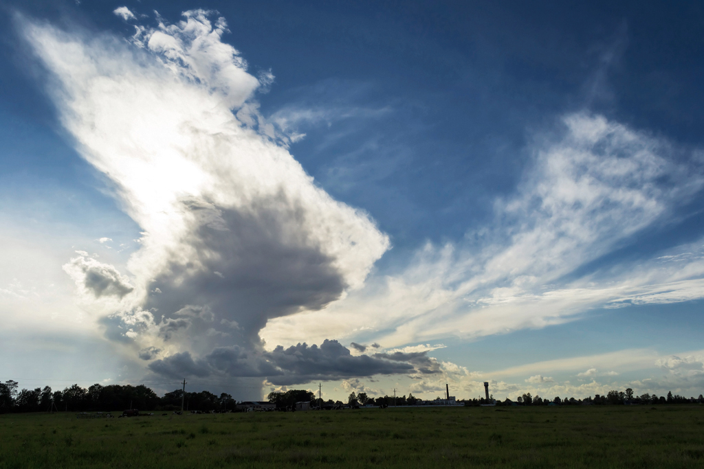 Birdlike cloud | cloud, heaven, skyline, sky