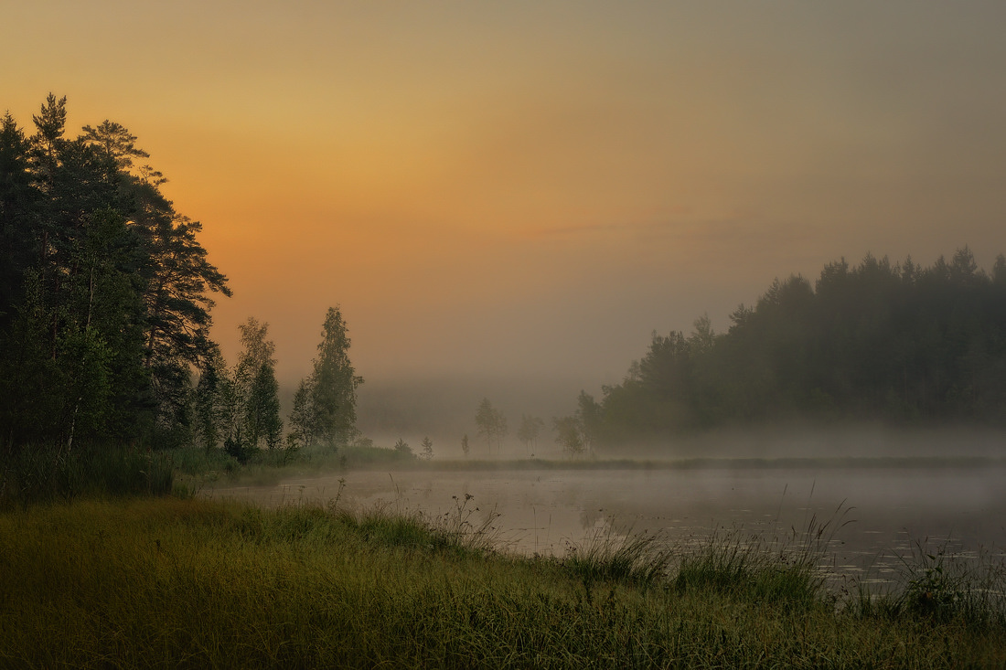 At dawn, lake | landscape, nature, outdoor, morning, dawn, fog, lake, trees, sky, grass