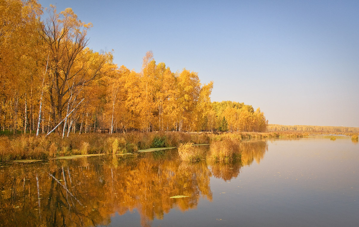 Red autumn | autumn, river, clear sky, nature