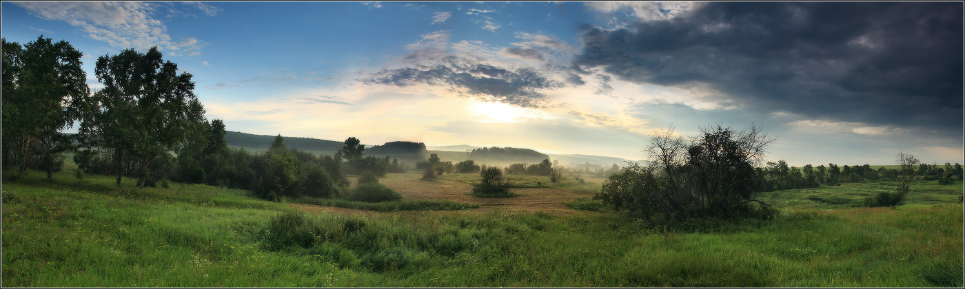 It's going to rain | meadow, rain cloud, horizon, tree