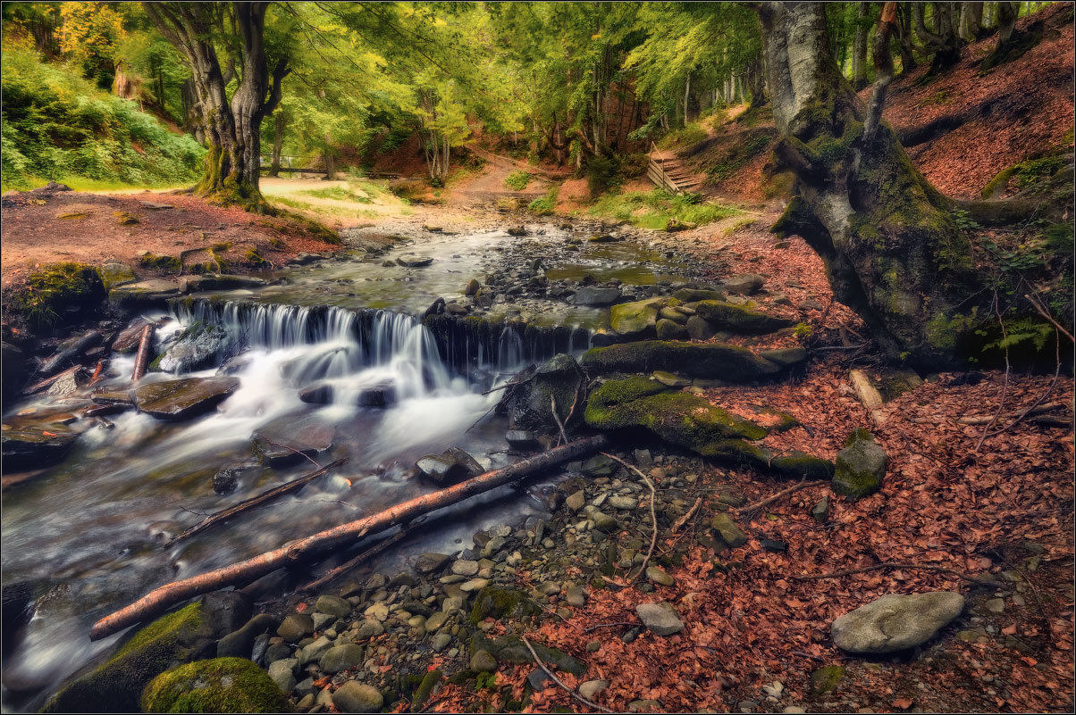 Seeing Shipota | Shipota, waterfall, river, wood