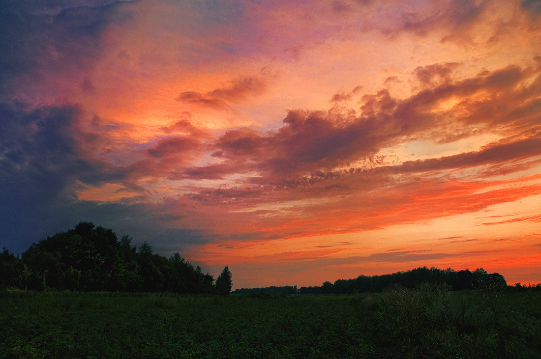 landscape, summer, sunset, green, sky, clouds, grass, forest, scarlet, evening