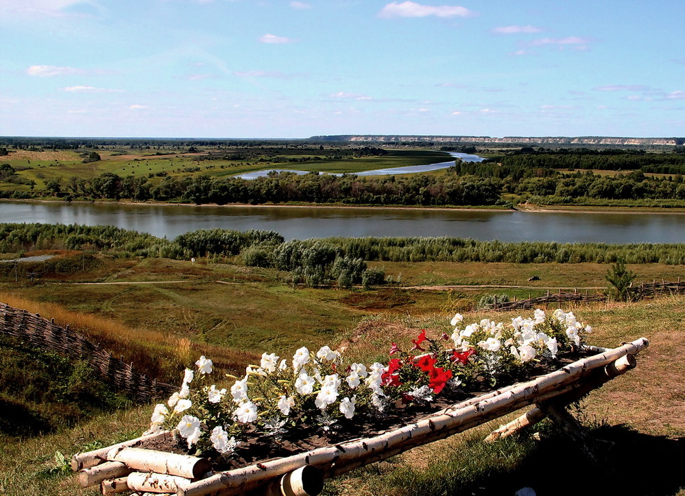 Siberian freedom | siberia, freedom, birch, river