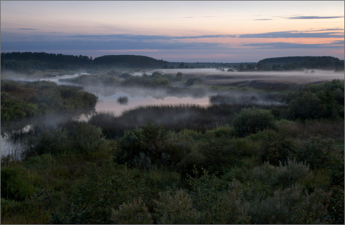 Evening fog, twilight | landscape, outdoor, nature, evening, fog, grass, sky, twilight, trees, water