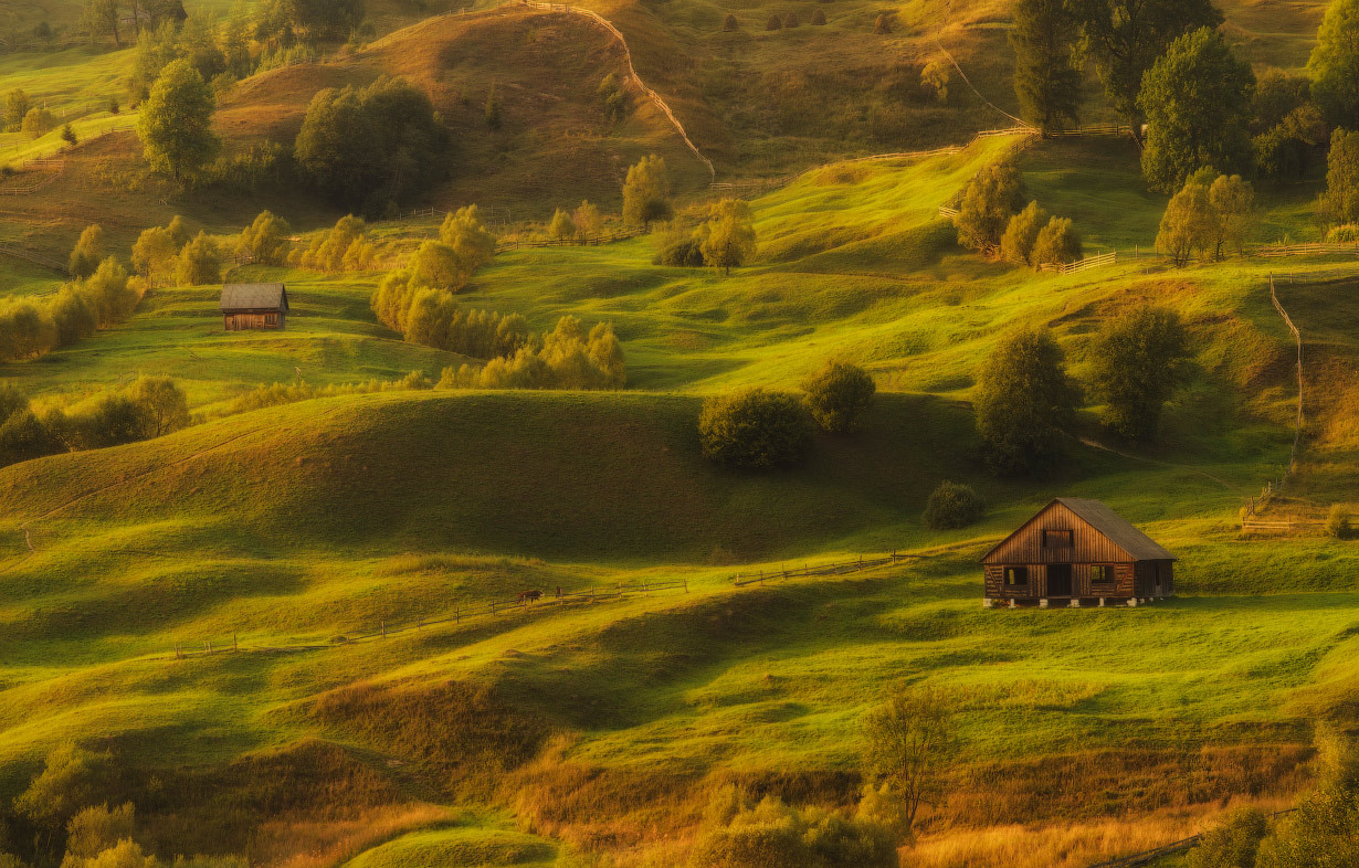 Teddy world | teddy world, hills, lonely house, grass