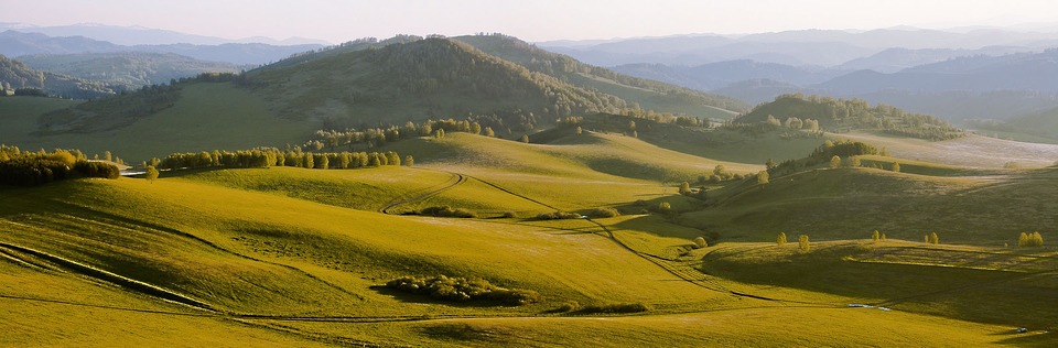 Foothills of the Altais | landscape, nature, foothills, Altais, green, grass, sunny day, trees, sky, shadow