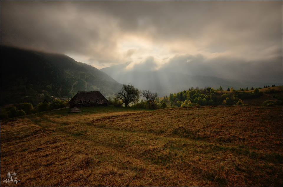 dull day | overcast, field, hill, day