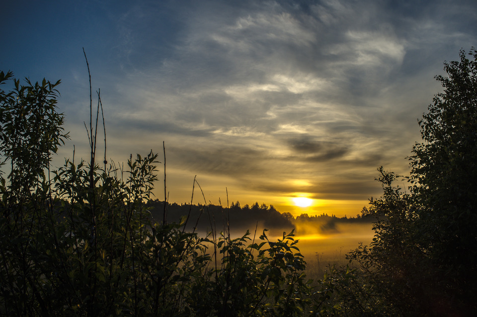 sunset near the pond | sunset, sun, pond, mist