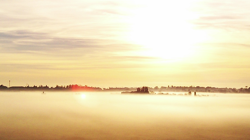 Morning, landscape | landscape, nature, morning, sky, fog, clouds, trees, sunshine, dawn, outdoor