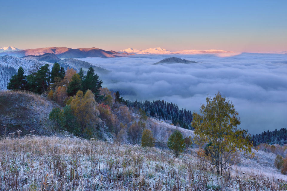 Beautiful sight from the hillside | hillside, sight, fog, cloud