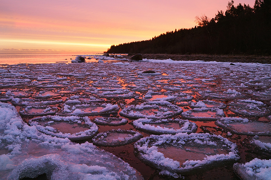 Ice flats, Ladoga | landscape, nature, Ladoga, lake, winter, snow, ice, forest, evening, sunset