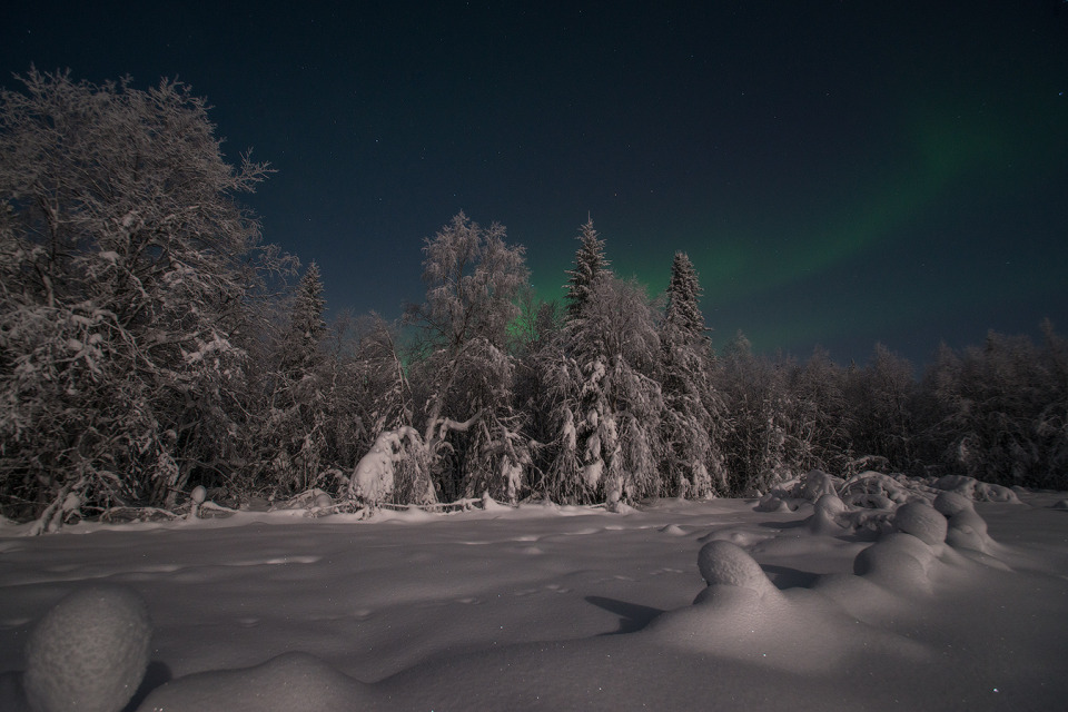 Snow and polar lights | snow, polar light, winter, frost