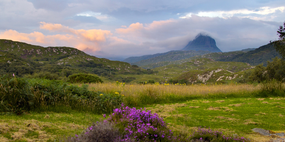 Suilven,Scotland | Scotland, mountain, flowers, clouds, grass, trees, yellow, violet, Suilven, sky