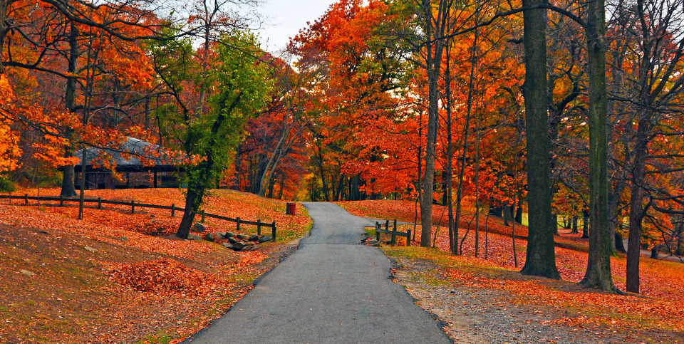 Autumn park | autumn, park, trees, leaves, arbor, parkway, green, red, stones, colourful