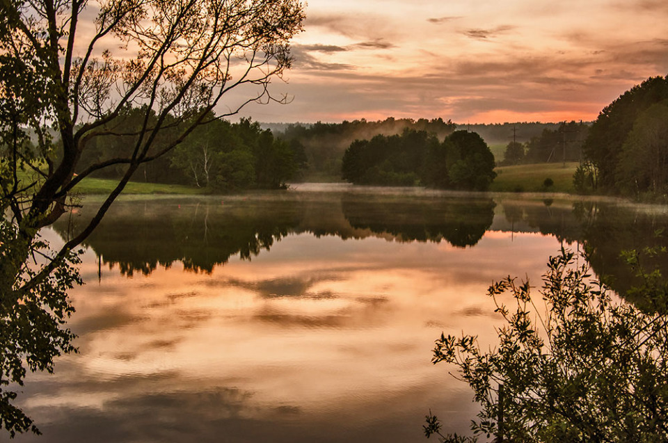 Lake in the evening | landscape, outdoor, nature, evening, trees, water, fog, lake, clouds, green