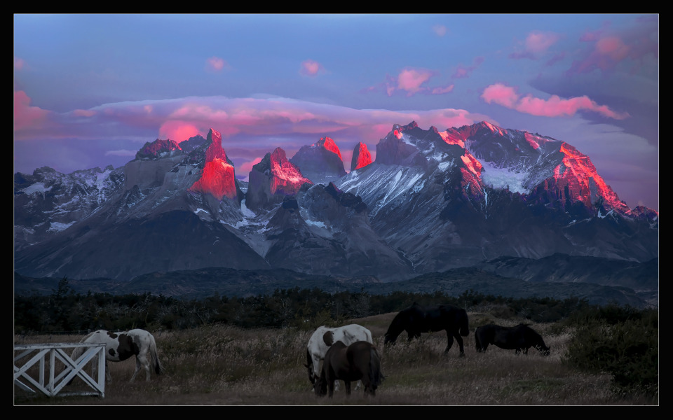 Torres del Paine National Park, dawn | National Park, Patagonia, mountains, sky, horses, grass, scarlet, dawn, uprise, clouds