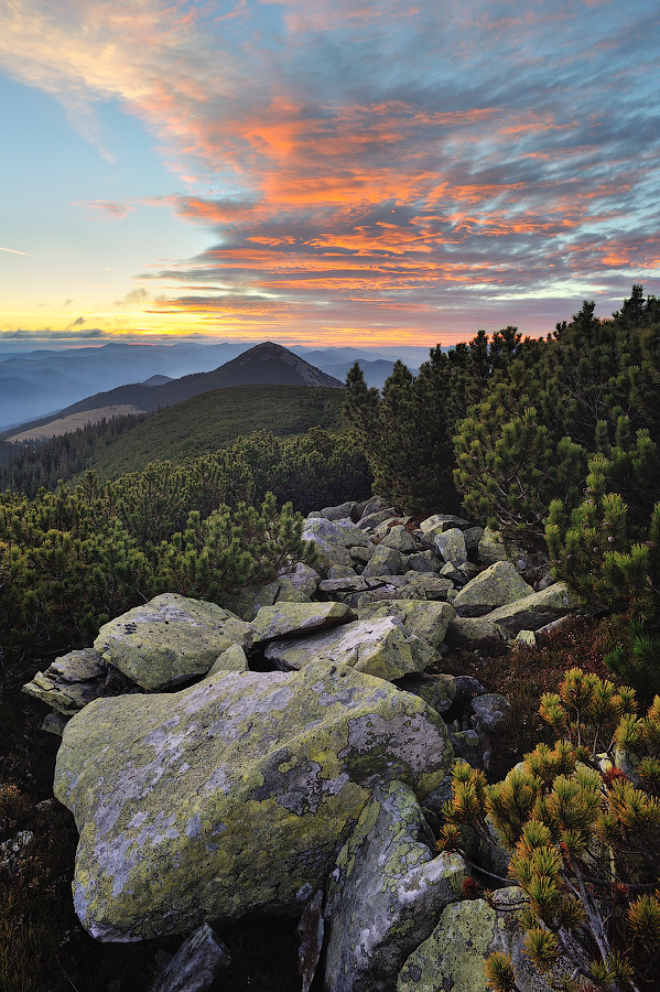  Sunrise in the Mountains | Sunrise, Mountains