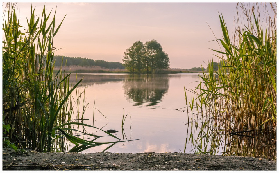 Silence on the lake  | landscape, nature, lake, water, sky, trees, forest, cane, evening, summer