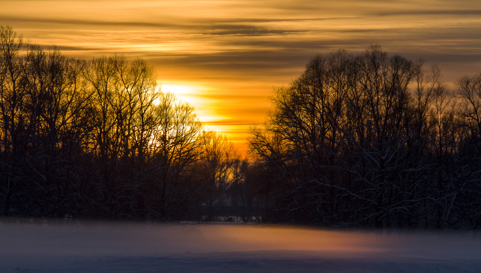 Sunset | sunset, winter, sky, trees, snow, fog, branches, orange, shine, landscape