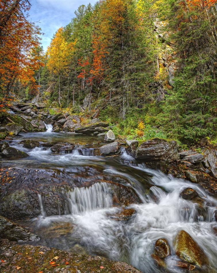 Mountain stream in autumn | landscape, nature, forest, mountain, trees, water, stones, colourful, mountain stream , autumn