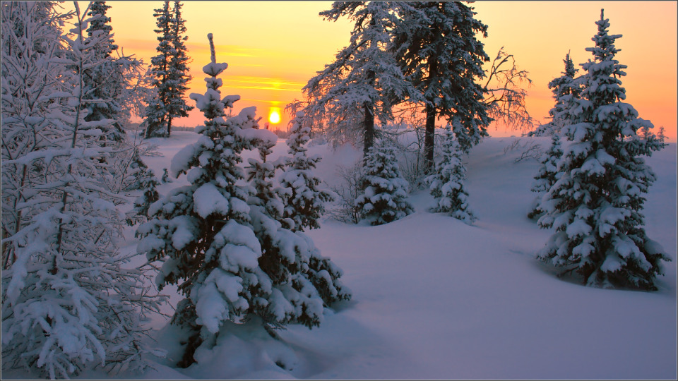 Down, Novy Urengoy | Novy Urengoy, city, dawn, december, snowdrifts, noon, sun, sky, trees, landscape