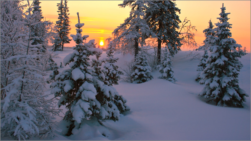 Down, Novy Urengoy | Novy Urengoy, city, dawn, december, snowdrifts, noon, sun, sky, trees, landscape