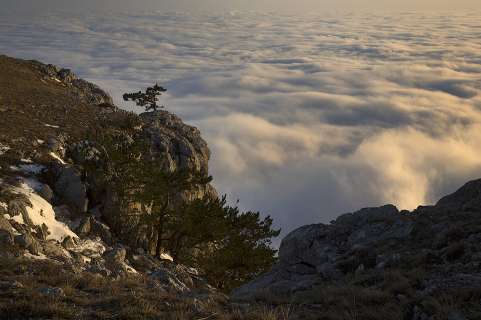 Crimea, mountains, clouds, sky, landscape, nature, tree, stones, height, cover