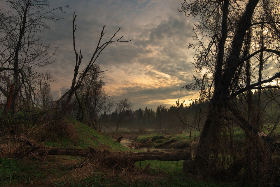 Darkly day | Dmitrov, nature  , landscape , trees, crack, grass, sky, forest, darkly, water