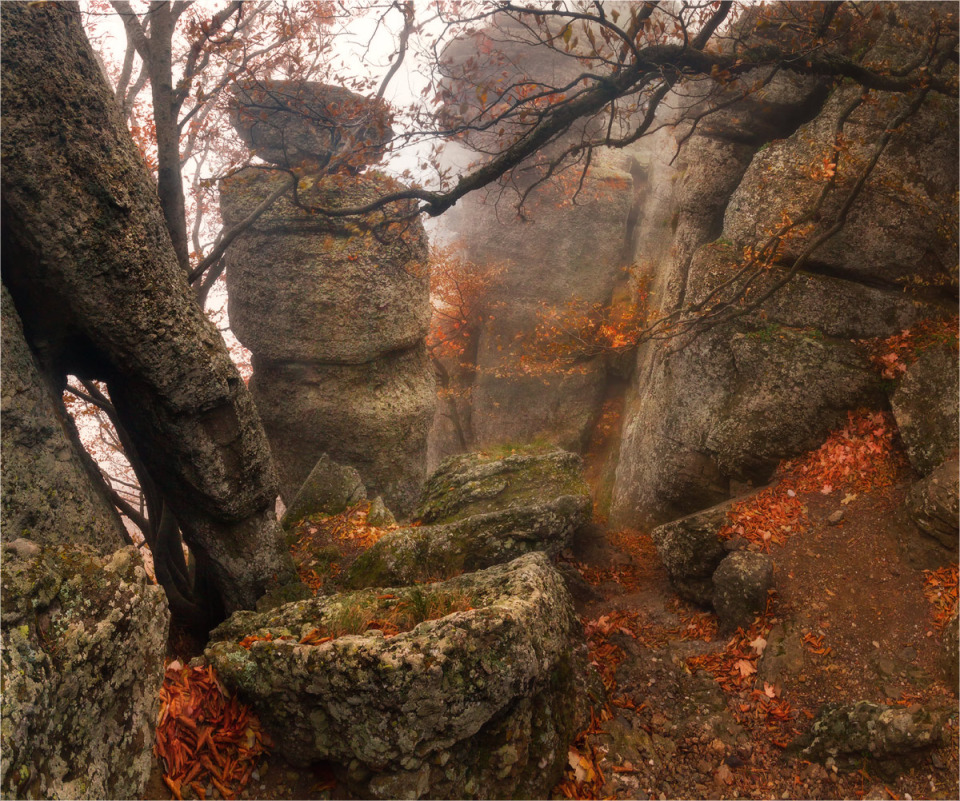 Demerji in the morning,Crimea | Demerji, Crimea, rocks, morning, path, crevice, stones, sky, tree, fog